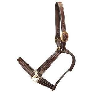  Gatsby Leather 202 5 Premiere Halter Horse Sports 