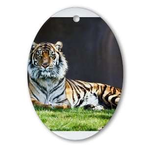  Ornament (Oval) Bengal Tiger Stare HD 