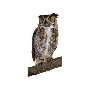  Great Horned Owl Diecut Magnet 