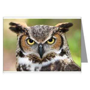  Greeting Cards (20 Pack) Great Horned Owl 