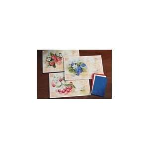 901 8 Mixed Berries Multipack Placemats   10 x 14 Inches  