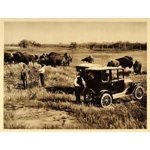   Bison Vintage Car Men Wainwright Alberta   Original Photogravure
