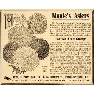 1907 Ad William Henry Maule Seed Book Asters Flowers   Original Print 