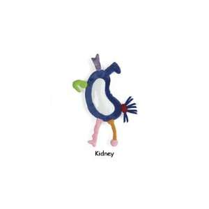  Make Your Own Monster Activity Kit   Kidney Toys & Games
