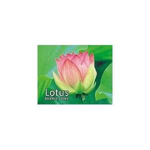  Lotus Cones   Kamini Incense   Case Pack of Twelve Boxes 