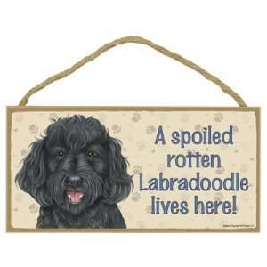 Labradoodle (Black)   A spoiled your favoriate dog breed lives here 