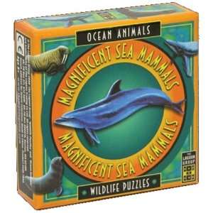 The Lagoon Group Magnificent Sea Mammals   Ocean Animals 