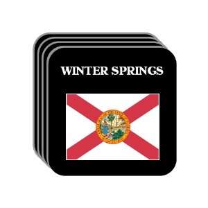  US State Flag   WINTER SPRINGS, Florida (FL) Set of 4 Mini 