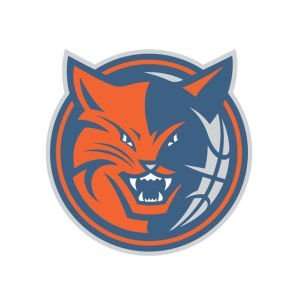  Charlotte Bobcats Static Cling Decal