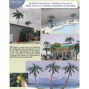  21 Outdoor Coconut Palm Tree (Island Breeze)