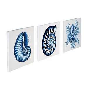  Set of 3 Dimensional Wall Decor Tiles   Blue Seashell