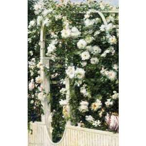  White Rose Arbor (Seri) Poster Print