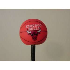  Chicago Bulls NBA Team Logo Antenna Topper Sports 