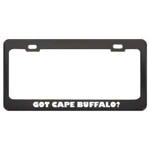 Got Cape Buffalo? Animals Pets Black Metal License Plate Frame Holder 