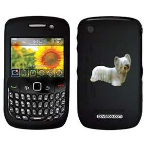  Skye Terrier on PureGear Case for BlackBerry Curve  