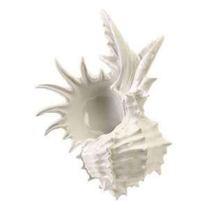  19 White Under the Sea Beach Themed Decorative Seashell 