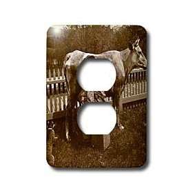   the Cat was Fed Sepia   Light Switch Covers   2 plug outlet cover