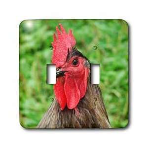 Cassie Peters Chickens   Blue Rooster by Angelandspot   Light Switch 