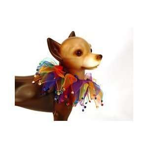   Rainbow Pride Party Collar for Dogs or cats(Small)