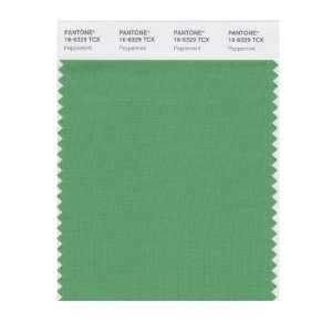  PANTONE SMART 16 6329X Color Swatch Card, Peppermint