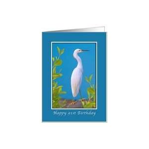  Birthday, 91st, Snowy Egret Bird Card Toys & Games