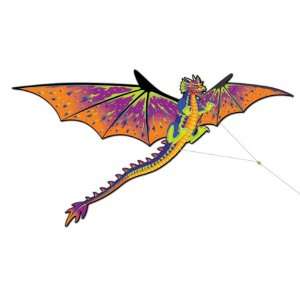  Supersized 3 D Dragon With 16 Wingspan Kite X 82200 Toys 