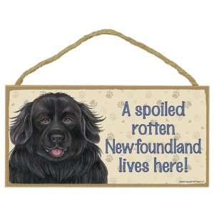  Newfoundland  A spoiled your favoriate dog breed lives 