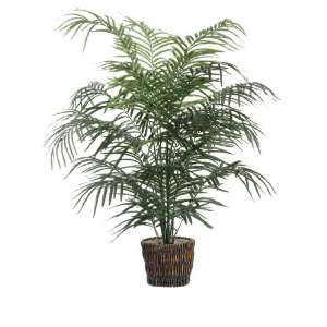   Potted All Natural Dwarf Areca Palm Tree   Unlit