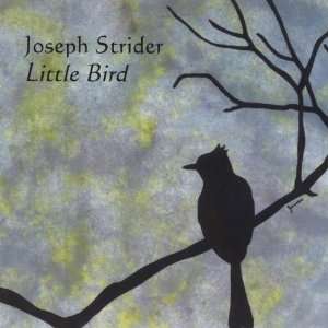  Little Bird Joseph Strider Music