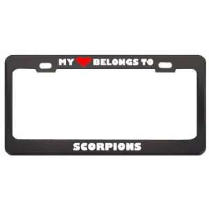 My Heart Belongs To Scorpions Animals Metal License Plate Frame Holder 