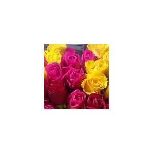  200 Premium Long Stem Roses assorted colors Patio, Lawn 