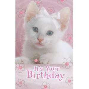    Greeting Card Birthday Its Your Birthday 