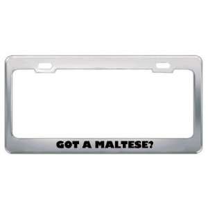 Got A Maltese? Nationality Country Metal License Plate Frame Holder 