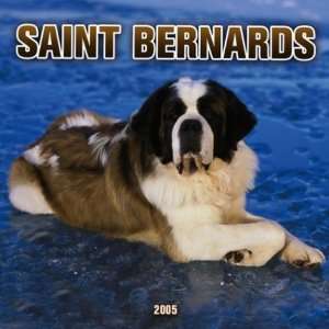  Saint Bernards 2005 Wall Calendar (9780763176617 