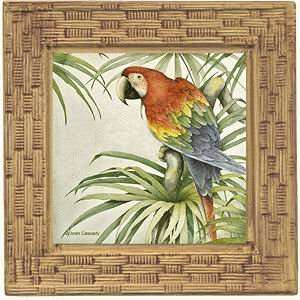 Set of Four Green Winged Macaw II Ambiance Coasters 