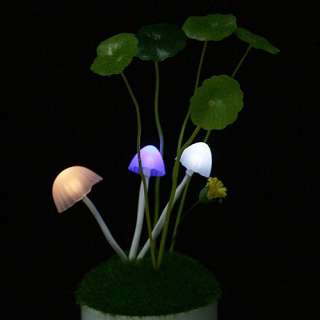 Colours Romantic LED Mushroom Night Light Bed Lamp  