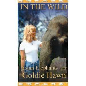  In the Wild   Asian Elephants with Goldie Hawn [VHS 