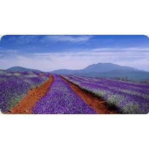  Tasmania Mouse Pad