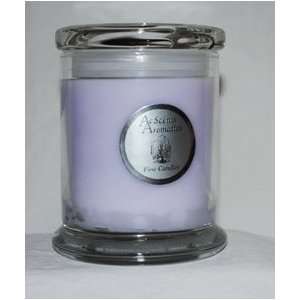  Lavender Fields 13 oz. Status Jar Candle