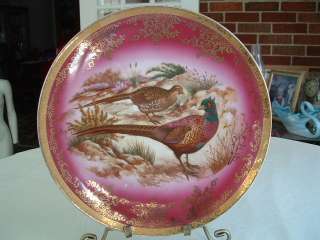 STW BAVARIA GERMANY BIRD PLATE GOLD TRIMMED OLD BEAUTY  