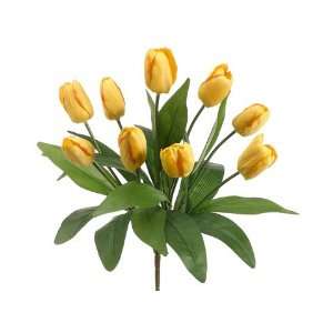  17 Tulip Bush x9 Yellow (Pack of 12)