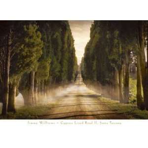 Cypress Lined Road II, Siena Tuscany Finest LAMINATED Print Jimmy 