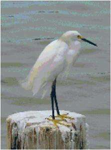 Snowy Egret Counted Cross Stitch Pattern Design Chart  