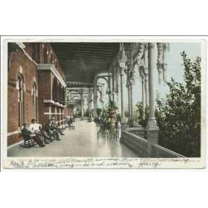  Reprint Tampa Bay Hotel, the Porch, Tampa, Fla 1900 1902 