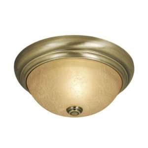  Vaxcel International Lighting Ceiling Light