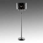 Acrylic Floor Lamp  