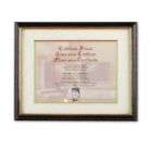 DAX Laminated Wood Document/Certificate Frame