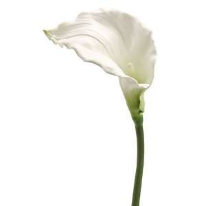  Faux 36 Calla Lily Stem White (Pack of 12) Patio, Lawn 