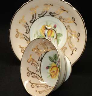 Paragon PEACH APRICOT Yellow ROSE simplyTclub Tea cup and saucer 