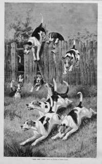 DOGS, FOX HOUNDS JUMPING FENCE, FOX HUNTING ANTIQUE  